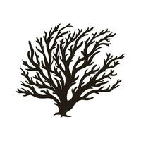 A Seaweed vector silhouette isolated on a white background, A silhouette of a Sea coral Vector