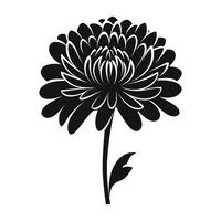 An Aster Flower Silhouette Vector isolated on a white background