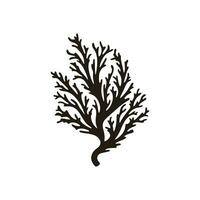 A Seaweed vector silhouette isolated on a white background, A silhouette of a Sea coral Vector