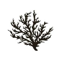 A Seaweed vector silhouette isolated on a white background, A silhouette of a Sea coral Vector