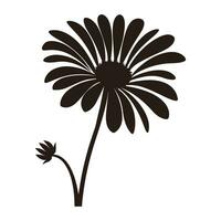 Daisy Flower Silhouette Vector isolated on a white background