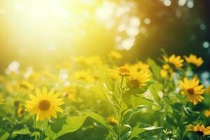 ai generado flores silvestres en luz de sol de cerca verano antecedentes. ai generado foto