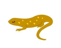 Cartoon newt animal isolated on white. Cute character, vector zoo, wildlife poster.