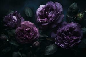 AI generated Purple roses close-up dark romantic background. Flowers wallpaper. Ai generated photo