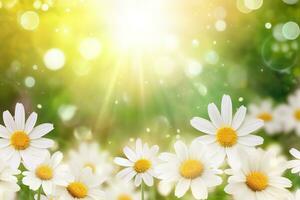 AI generated Flower meadow with daisies in sunlight close-up summer background. Ai generated photo