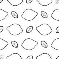 Hand drawn lime seamless pattern vector
