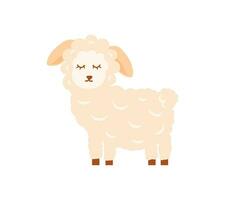 Cartoon sheep animal isolated on white. Cute character, vector zoo, wildlife poster.