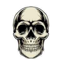 Human Skull Vector Illustartion