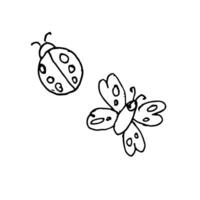 bug and butterfly doodle icons set vector