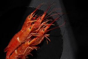 Whole red prawns on black background with spotlight effect photo