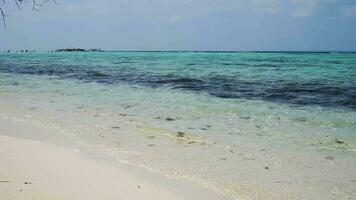 karimunjawa isola spiaggia ciclo continuo video