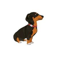 Dachshund Delight Endearing Wiener Dog vector