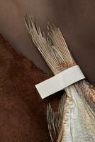 Salted air-dried roach tail with paper label on brown leather background photo