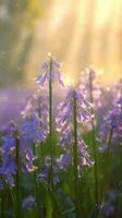 ai generado floreciente campanilla flores con gotas de agua de cerca antecedentes. primavera fondo de pantalla. ai generado foto