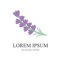 lavanda, logotipo, plantilla, vector, símbolo, naturaleza vector