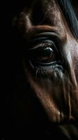AI generated Closeup horse eye, portrait of animal on dark background. Ai generated photo