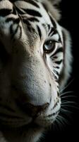 AI generated Closeup white tiger eye, portrait of animal on dark background. Ai generated photo