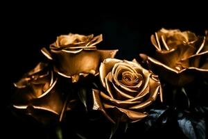 AI generated Golden roses  close-up dark romantic background. Ai generated photo