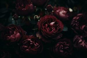 AI generated Burgundy color roses dark moody romantic background. Close-up flowers card backdrop. Ai generated photo
