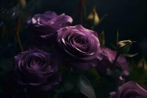 AI generated Purple roses dark moody romantic background. Close-up flowers card backdrop. Ai generated photo