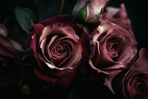 AI generated Pink roses dark moody romantic background. Close-up flowers card backdrop. Ai generated photo