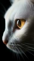 AI generated Closeup white cat eye, portrait of animal on dark background. Ai generated photo