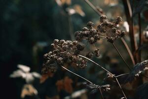 AI generated Dried flowers in the forest close-up. Autumn background photo