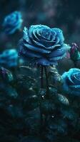 AI generated Close-up blue roses with water droplets background. Summer wallpaper. Ai generated photo