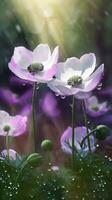 AI generated Blooming anemone flowers with drops of water close-up background. Summer wallpaper. Ai generated photo