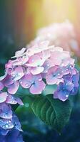 AI generated Blooming hydrangea flowers with drops of water close-up background. Floral wallpaper. Ai generated photo
