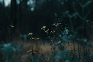 AI generated Dried flowers in the forest. Autumn background photo