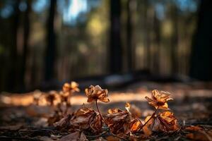 ai generado seco flores en el bosque de cerca. otoño antecedentes foto