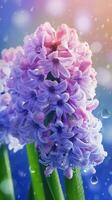 AI generated Close-up hyacinth flowers with water droplets background. Summer wallpaper. Ai generated photo