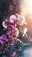 ai generado floreciente orquídea flores con gotas de agua de cerca antecedentes. floral fondo de pantalla. ai generado foto