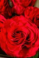 Bouquet of red roses. photo