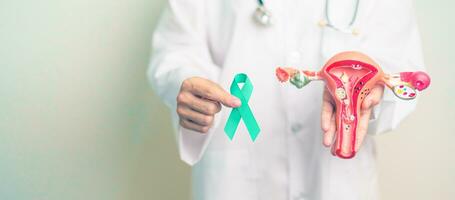 Doctor holding Teal ribbon with Uterus and Ovaries model for January Cervical Cancer Awareness month. Cervix, Endometriosis, Hysterectomy, Uterine, Reproductive, Healthcare and World cancer day photo