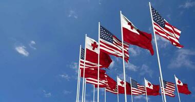 United States and Tonga Flags Waving Together in the Sky, Seamless Loop in Wind, Space on Left Side for Design or Information, 3D Rendering video