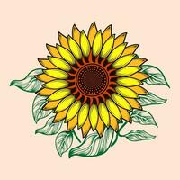 Sunflower handrawing vector design with green leaf