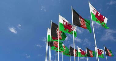 Afghanistan und Wales Flaggen winken zusammen im das Himmel, nahtlos Schleife im Wind, Raum auf links Seite zum Design oder Information, 3d Rendern video