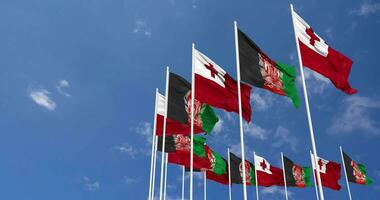 Afghanistan and Tonga Flags Waving Together in the Sky, Seamless Loop in Wind, Space on Left Side for Design or Information, 3D Rendering video