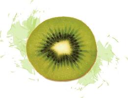 Abstract of kiwi fruit with color splashed on white background. vector