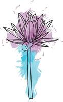 Abstract line of water lily flower on white backgroud with color spread. vector