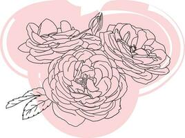 Abstract line of Rose flower on color background. vector