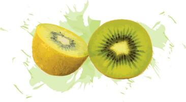 Abstract of kiwi fruit with color splashed on white background. vector