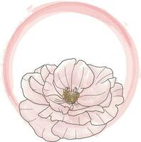 Abstract line of Rose flower in circle color paint background. vector