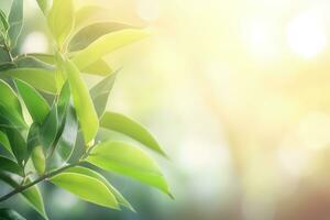 AI generated Branch with green leaves in sunlight, bokeh effect. Summer background. Ai generated photo