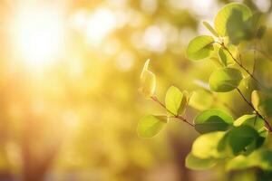 AI generated Branch with green leaves in sunlight, bokeh effect. Summer background. Ai generated photo