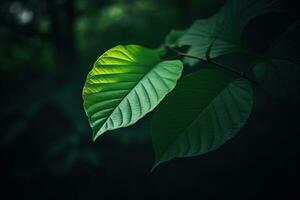 AI generated Dark moody green leaves summer background. Ai generated photo