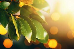 AI generated Branch with green leaves in sunlight, bokeh effect. Summer background. Ai generated photo