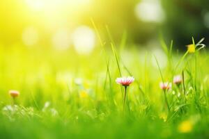 ai generado flores silvestres en luz de sol de cerca verano antecedentes. ai generado foto